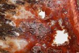 Polished Sicat Plume Agate Slab - Cady Mountains, California #184952-1